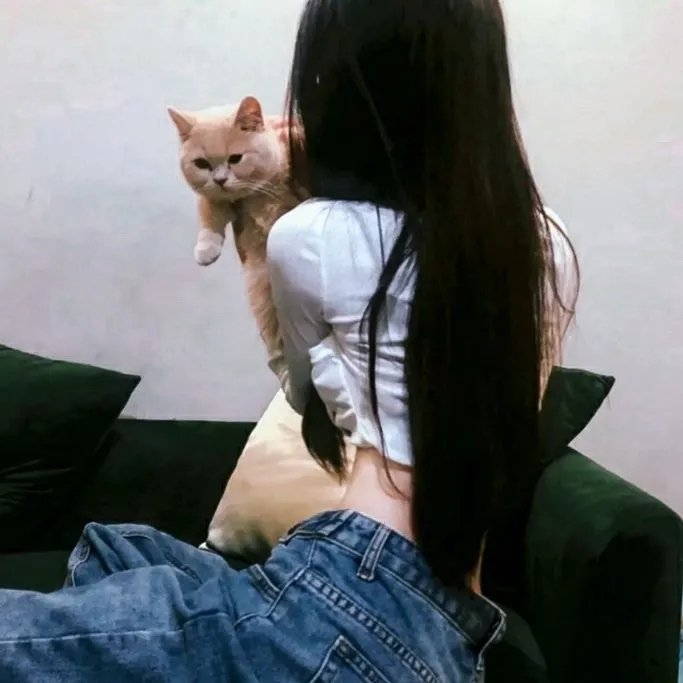 男孩、鼹鼠、狐狸和马
